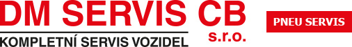 DM Pneuservis Servis logo